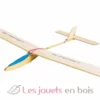 Planeur Lilienthal 32 - Aero-naut