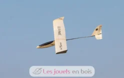Planeur Lilienthal 40 RC - Aero-naut