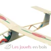 Planeur Pino - Aero-naut