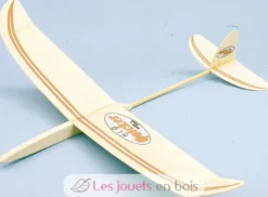 Planeur Quicker HLG - Aero-naut