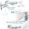 Pot céramique blanc 8 cm - Arbre de naissance - Radis et Capucine