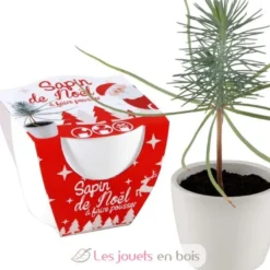 Pot céramique blanc 8 cm - Sapin de Noël - Radis et Capucine