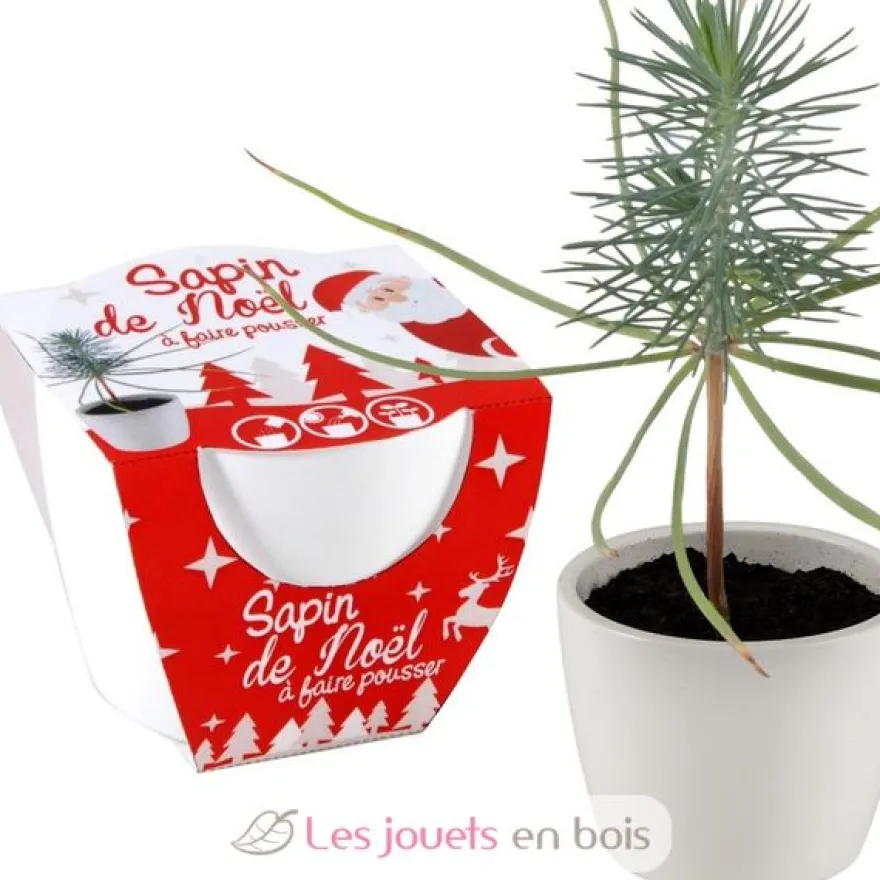 Pot céramique blanc 8 cm - Sapin de Noël - Radis et Capucine