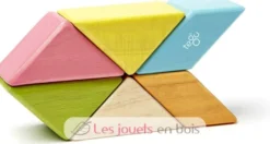 Prism Pocket Pouch Tints 6 pcs - Tegu
