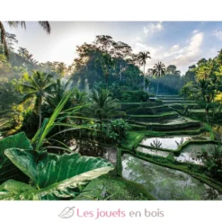 Puzzle Au cœur de Bali 2000 pcs - Nathan