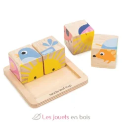 Puzzle 4 cubes - Tender Leaf Toys