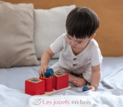 Puzzle d'encastrement 3 formes - Plan Toys
