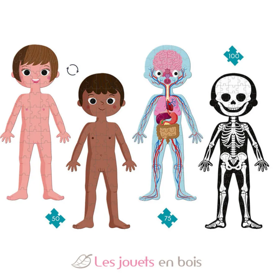 Puzzle éducatif Le Corps Humain - Janod