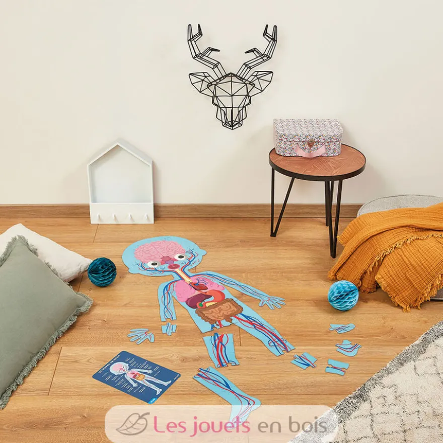 Puzzle éducatif Le Corps Humain - Janod
