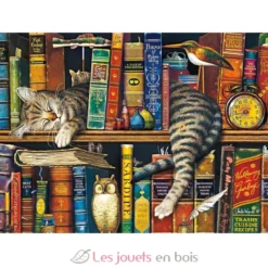 Puzzle Frédéric le chat lettré 1000 pcs - Schmidt Spiele