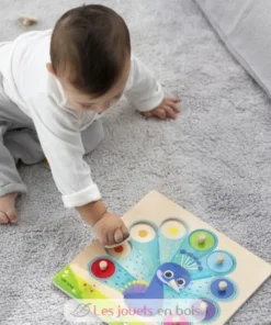 Puzzle Paon - Goula