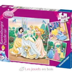 Puzzle Rêves de princesses Disney 3x49 pcs - Ravensburger