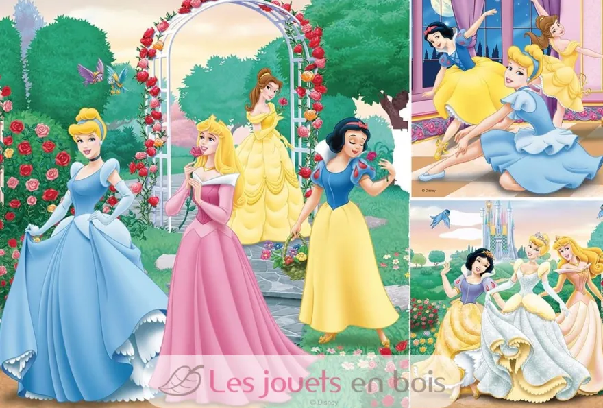 Puzzle Rêves de princesses Disney 3x49 pcs - Ravensburger