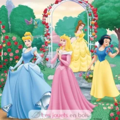 Puzzle Rêves de princesses Disney 3x49 pcs - Ravensburger
