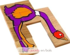Puzzles en forme - Les Jeux de Paul