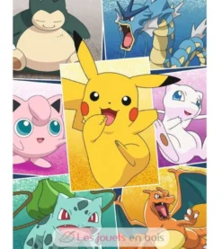 Puzzle Types de Pokémon 250 pcs - Nathan