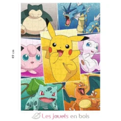 Puzzle Types de Pokémon 250 pcs - Nathan