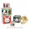 Pyramide 6 cubes Baby Forest - Janod