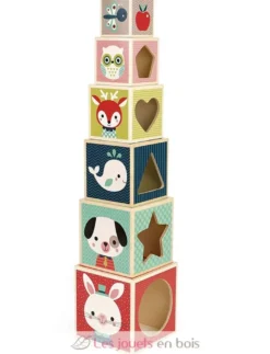 Pyramide 6 cubes Baby Forest - Janod