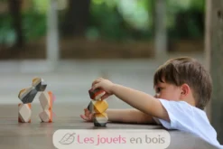 Rochers en équilibre - Plan Toys