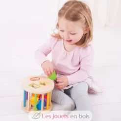 Rouleau trieur de formes en bois - Bigjigs Toys