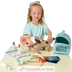 Sac de transport pour animaux et accessoires en bois - Tender Leaf Toys