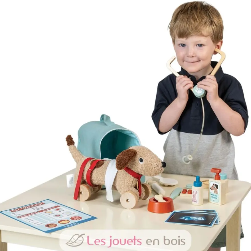 Sac de transport pour animaux et accessoires en bois - Tender Leaf Toys