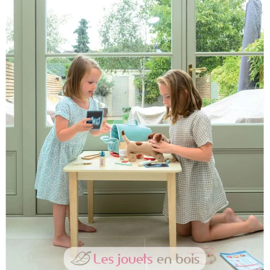 Sac de transport pour animaux et accessoires en bois - Tender Leaf Toys