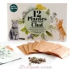 12 sachets de graines Plantes pour chat - Radis et Capucine