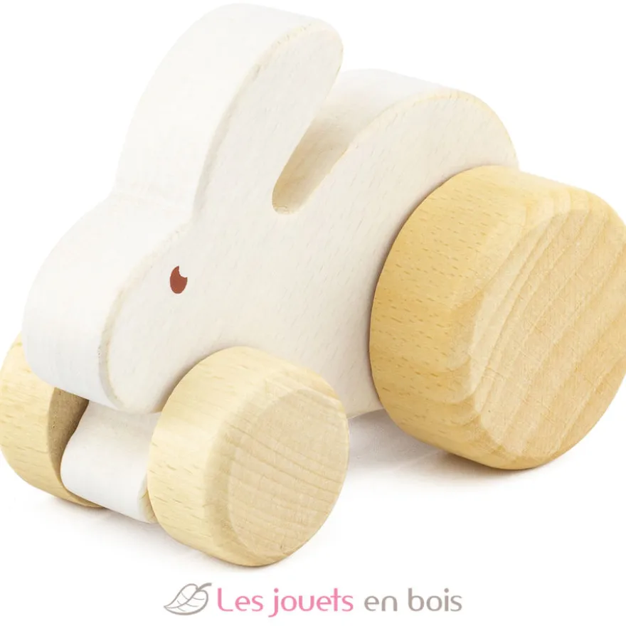 Set de jouets premier âge en bois - Ulysse