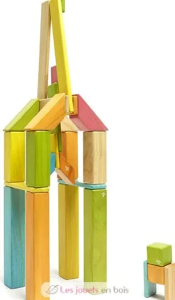 Set de 42 pièces Tints - Tegu