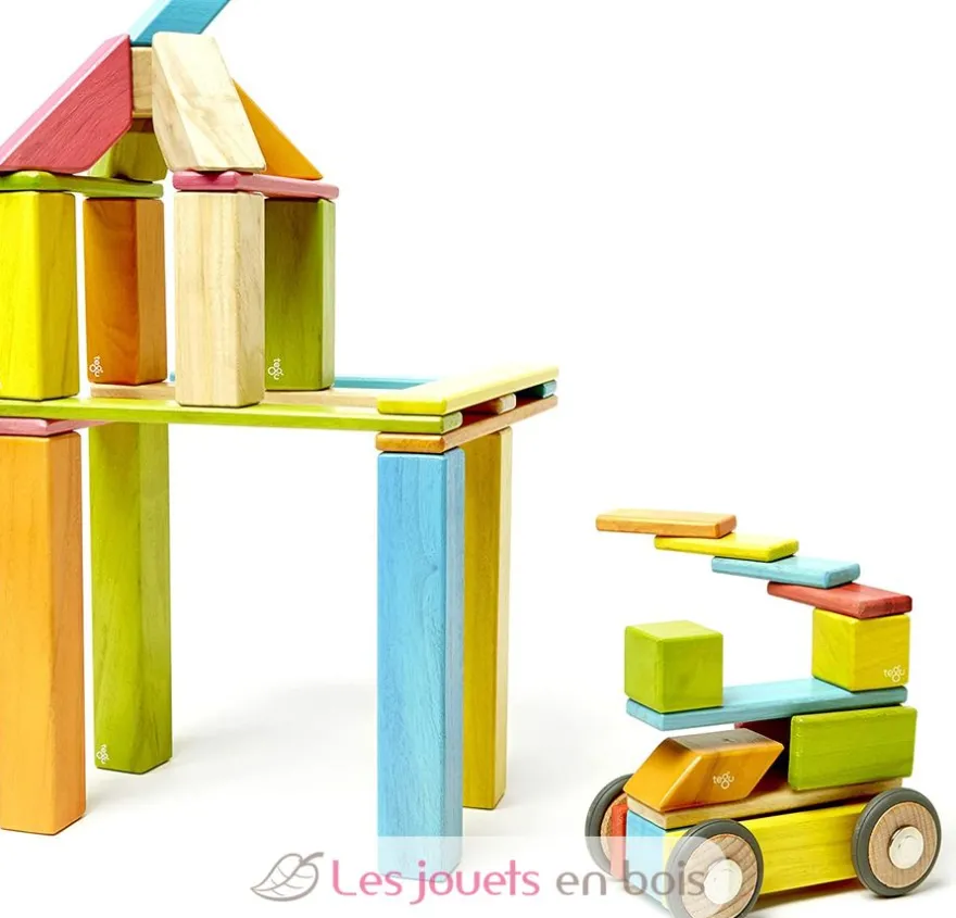 Set de 42 pièces Tints - Tegu