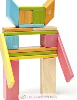 Set de 24 pièces Tints - Tegu