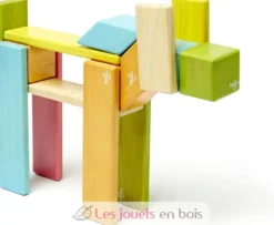 Set de 24 pièces Tints - Tegu