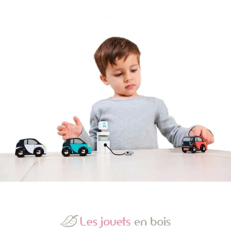 Set de voitures eco - Tender Leaf Toys