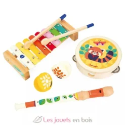 Set musical Gioia - Janod