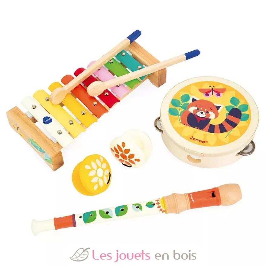 Set musical Gioia - Janod