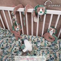 Spirale d'activités Jélékros le lion - Les Déglingos