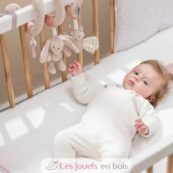 Spirale de jeu Alice et Pomme - Nattou