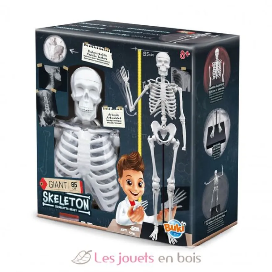 Squelette géant 85 cm - Buki France