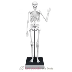 Squelette géant 85 cm - Buki France