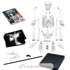 Squelette géant 85 cm - Buki France