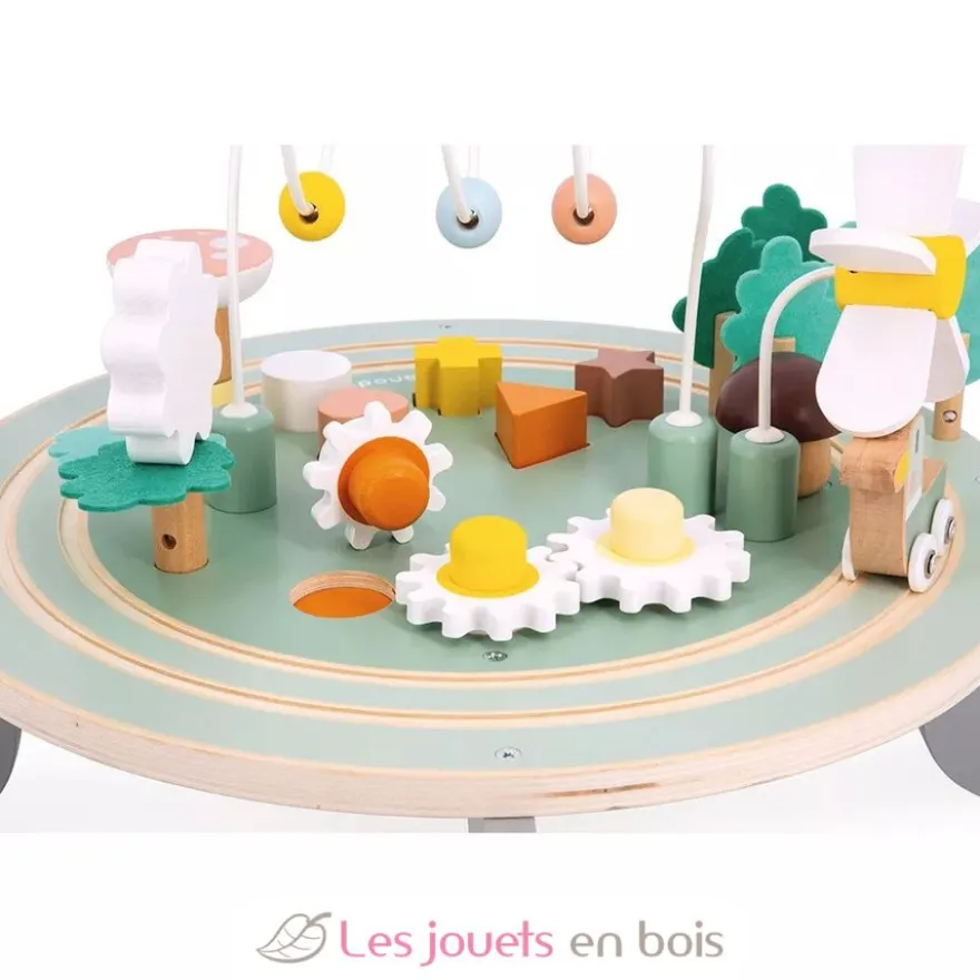 Table d'Activités Jardin Sweet Cocoon - Janod