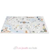Tapis de jeu Vallée blanche - Janod
