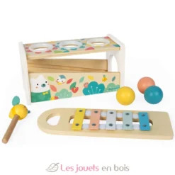 Tap Tap Xylophone - Janod
