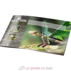 Terra Kids Connectors - Kit de base - Haba