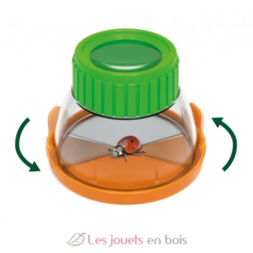 Terrarium pour enfant - Buki France