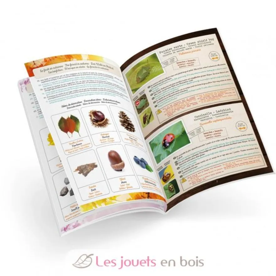 Terrarium pour enfant - Buki France