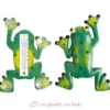 Thermomètre de fenêtre grenouille - Esschert Design