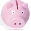 Tirelire Cochon - Vilac